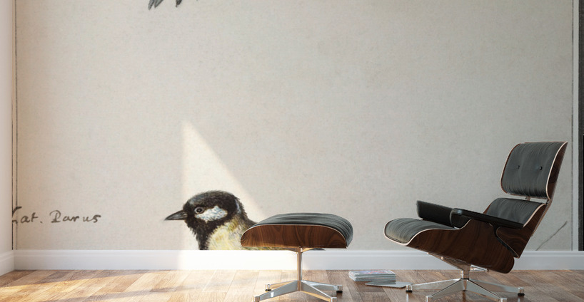 Passerines in vintage style Wall Murals