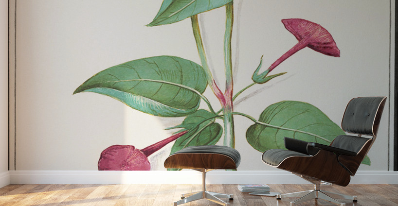 Marvel-of-peru in vintage style Wall Murals