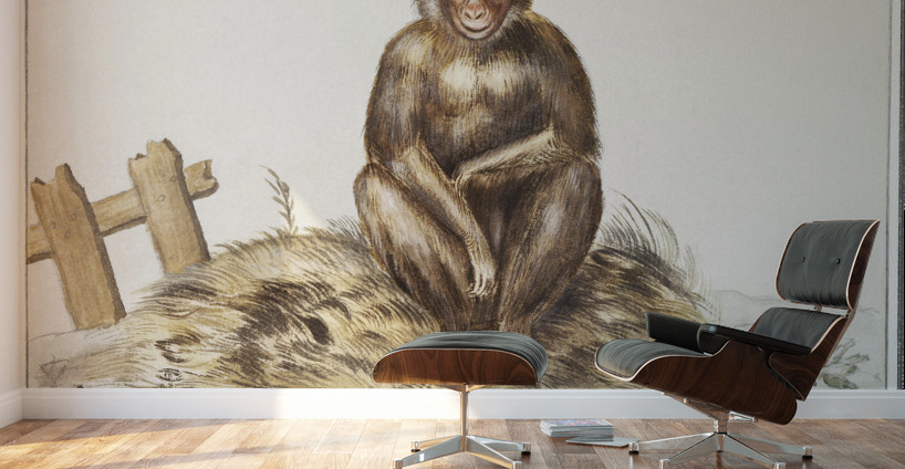 Monkey in vintage style Wall Murals