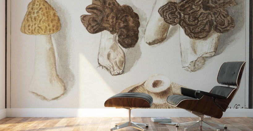 Mushrooms in vintage style Wall Murals