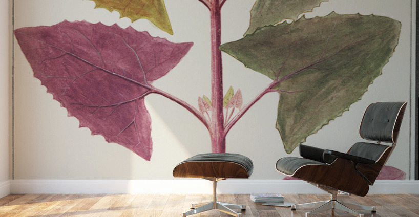 Garden orache in vintage stylered orache Wall Murals