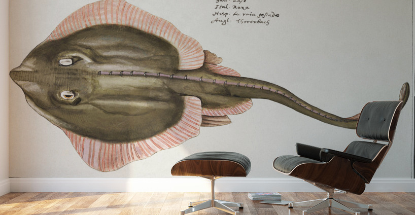 Rays in vintage style Wall Murals