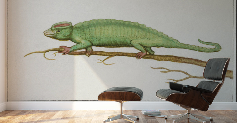 Chameleon in vintage style Wall Murals