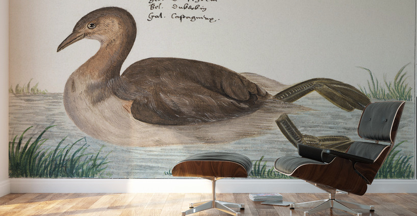 Little grebe in vintage style Wall Murals