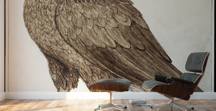White-tailed eagle in vintage style Wall Murals