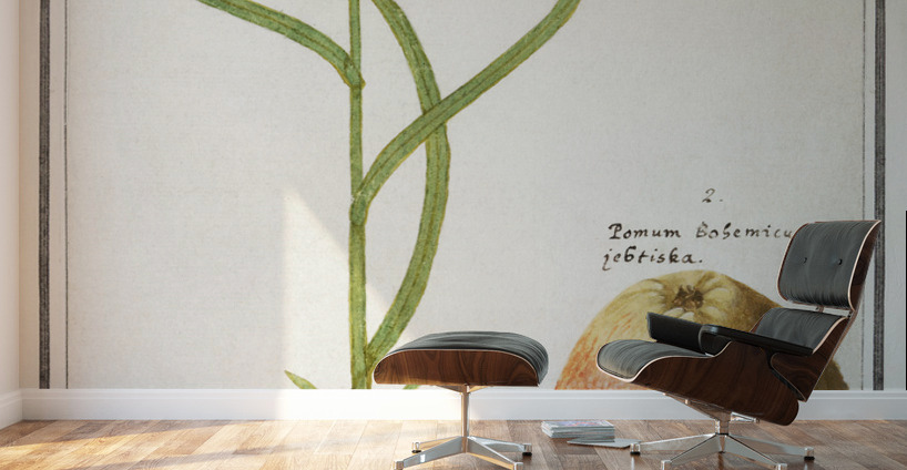 Snakes head flower and apple Wall Murals