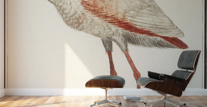 Flamingo in vintage style Wall Murals