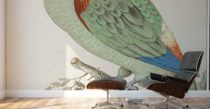 Turquoise-fronted amazon in vintage style Wall Murals