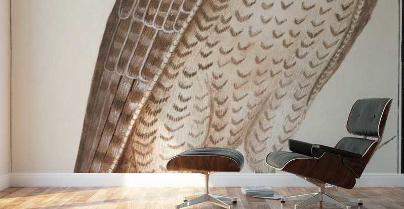 Saker falcon in vintage style Wall Murals