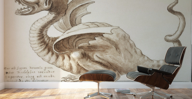 Dragon in vintage style Wall Murals