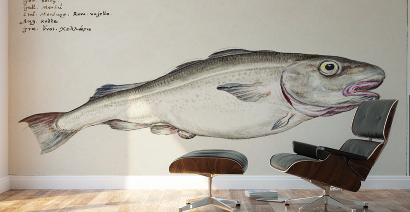 Cod in vintage style Wall Murals