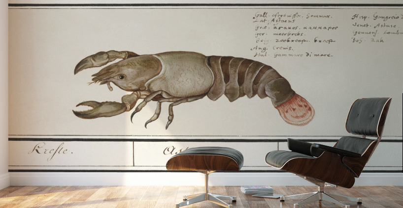 Lobster in vintage style Wall Murals