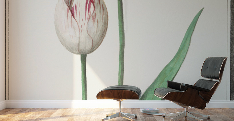 Tulip in vintage style Wall Murals