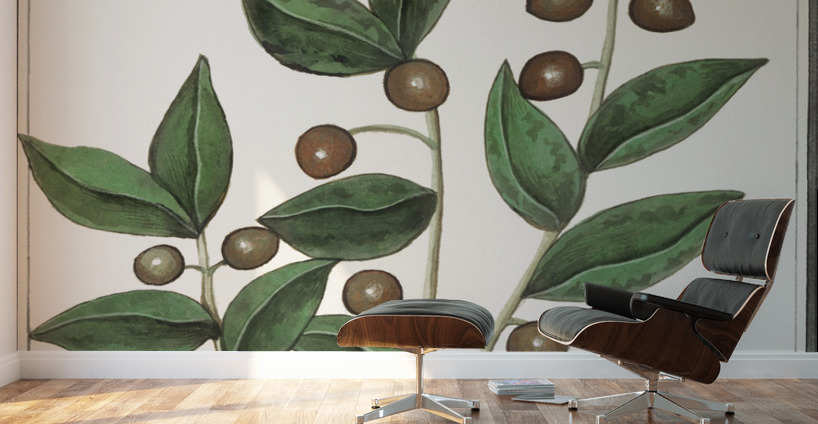 Olive in vintage style Wall Murals