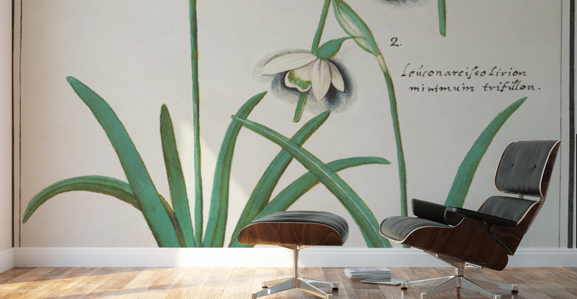 Tulip in vintage style Wall Murals