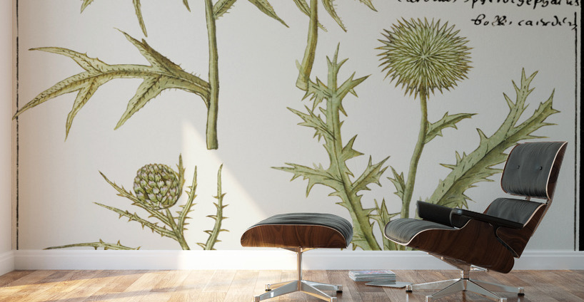 Thistle and artichoke Wall Murals