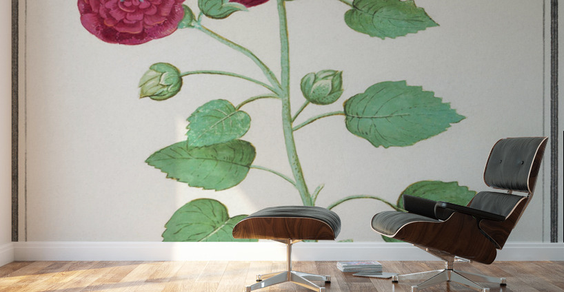 Cyclamen in vintage style Wall Murals
