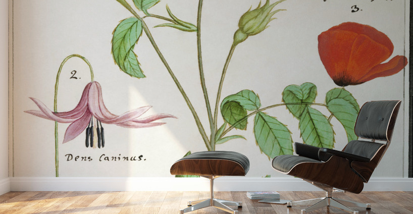 Dogstand flower wild rose and papaver Wall Murals