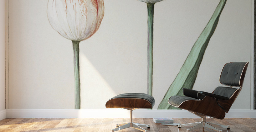 Tulip in vintage style Wall Murals