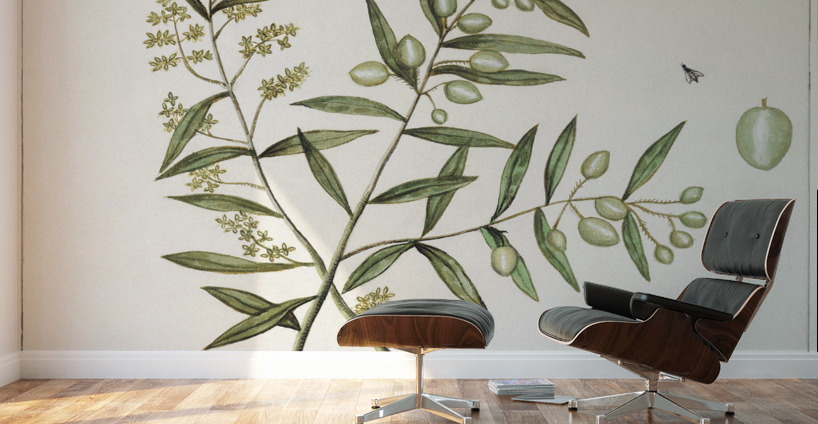 Olive in vintage style Wall Murals