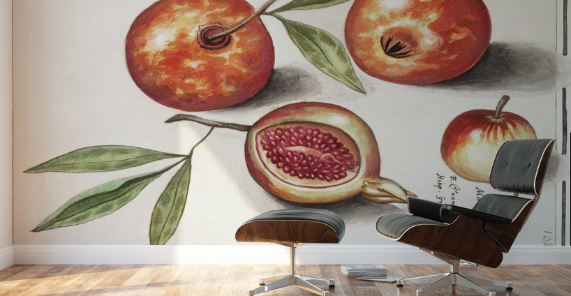 Olive in vintage style Wall Murals