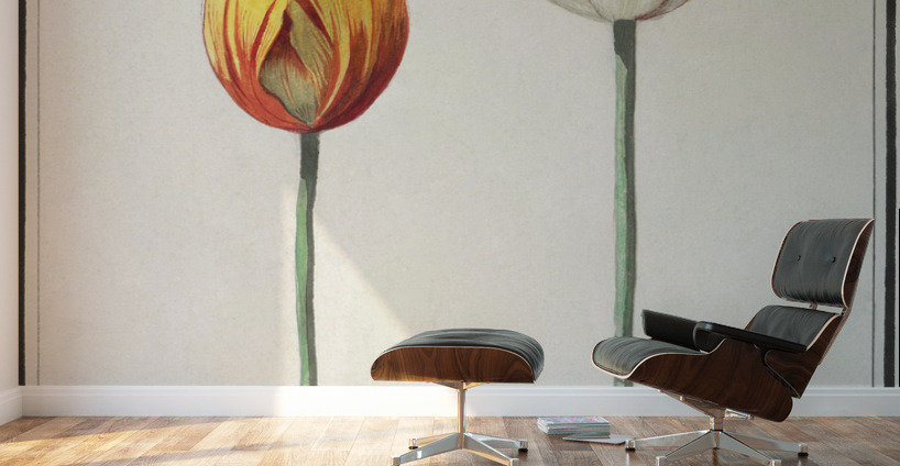 Tulip in vintage style Wall Murals