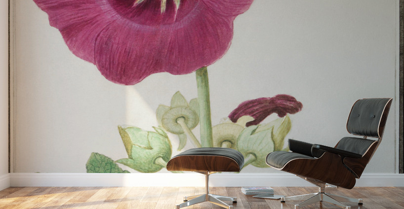 Alcea in vintage style Wall Murals