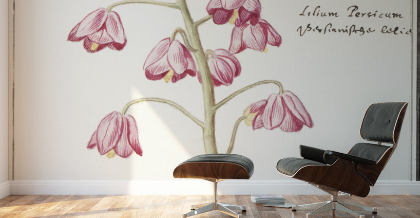 Cabbage in vintage style Wall Murals