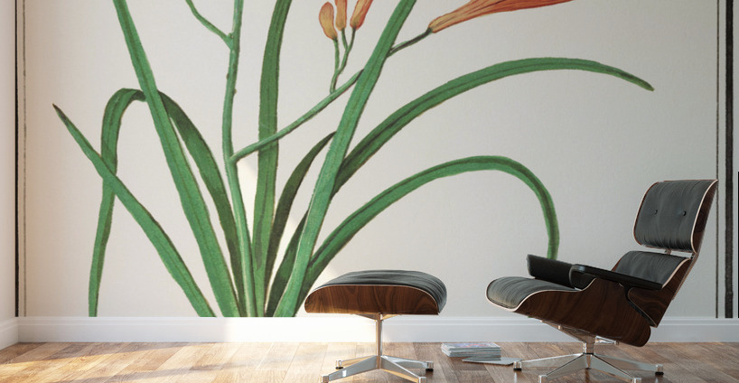 Orange daylily in vintage style Wall Murals