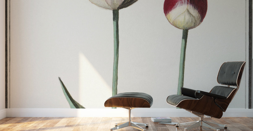 Tulip in vintage style Wall Murals