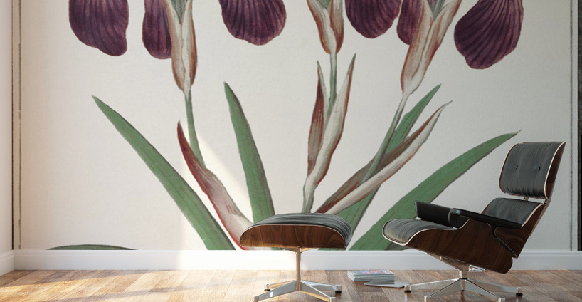 Purple iris in vintage style Wall Murals