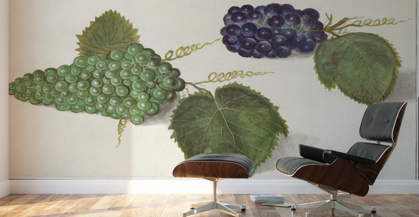 Grapes in vintage style Wall Murals