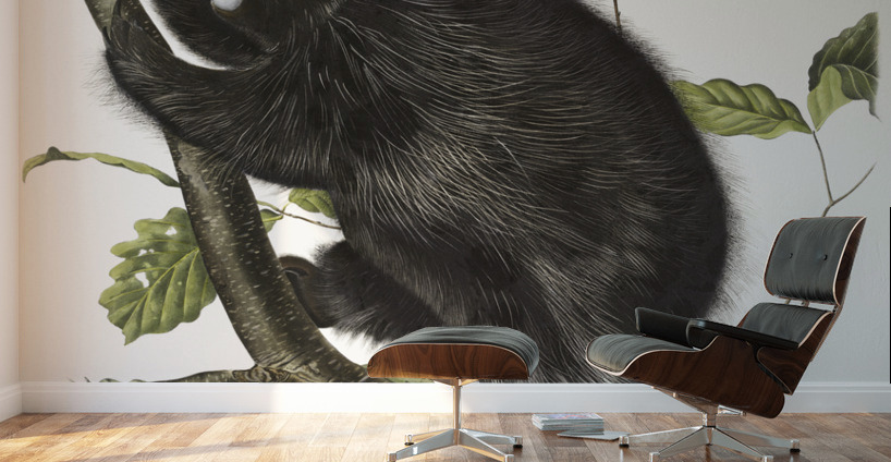 Canada Porcupine Nystrix dorsata  Wall Murals