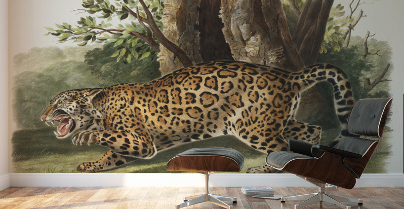 Jaguar Felis onca  Wall Murals