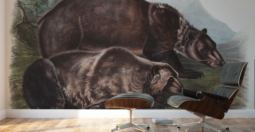 Pouched Jerboa Mouse Dipodomys Phillipsii  Wall Murals