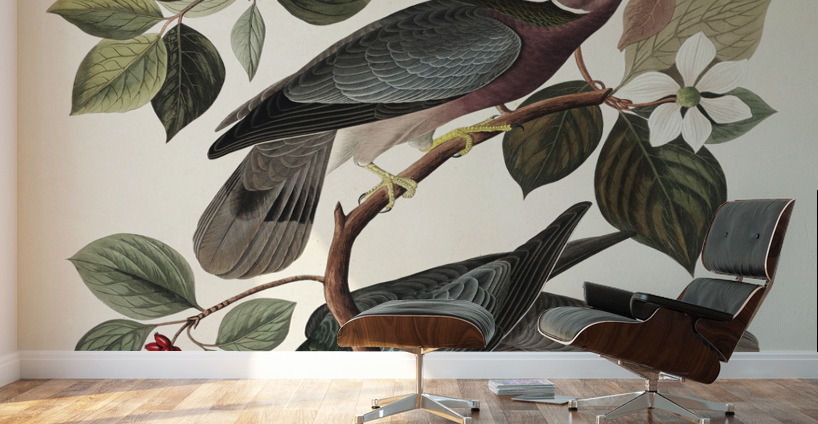 Band-tailed Pigeon Wall Murals