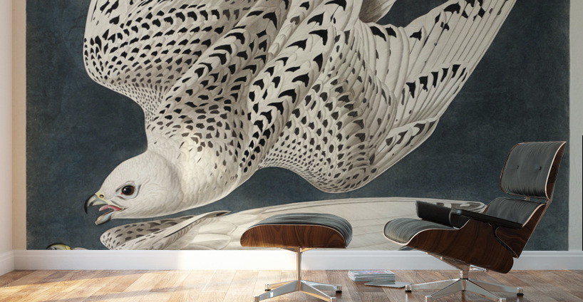 Iceland or Jer Falcon Wall Murals