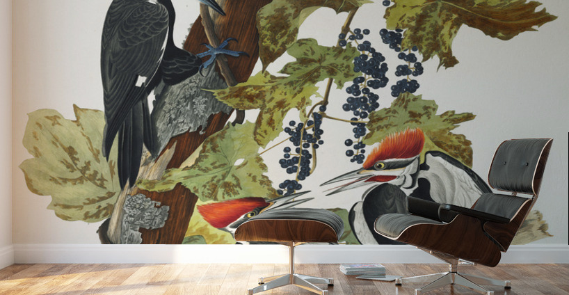 Pileated Woodpecker Wall Murals