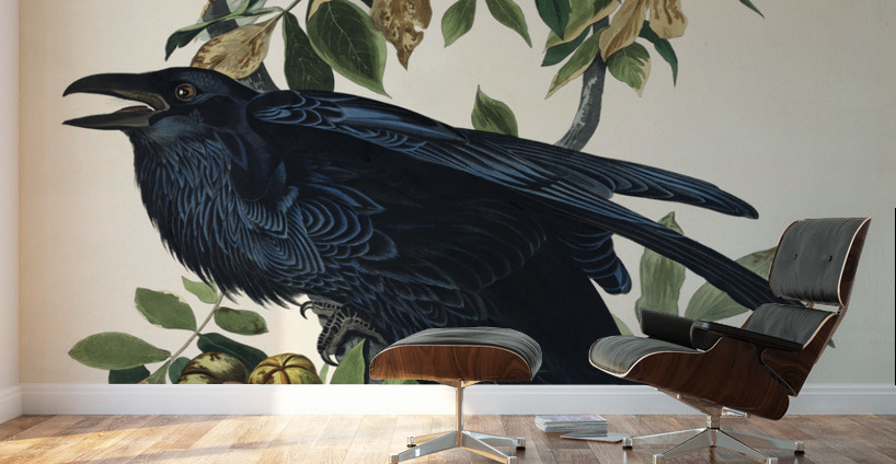 Raven Wall Murals