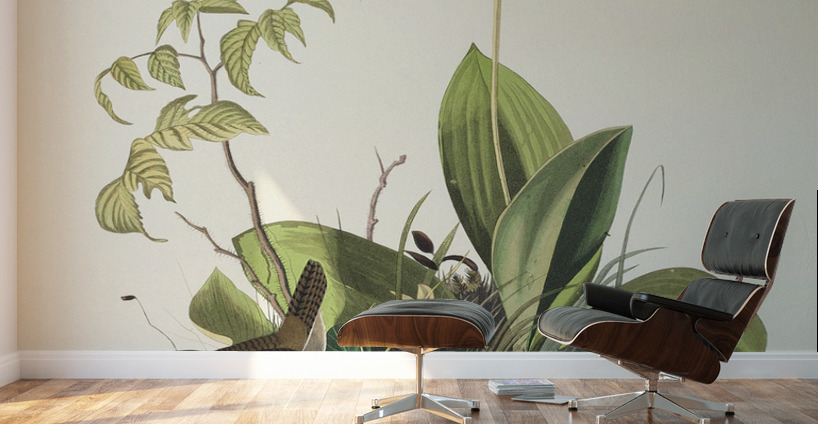 Wood Wren Wall Murals