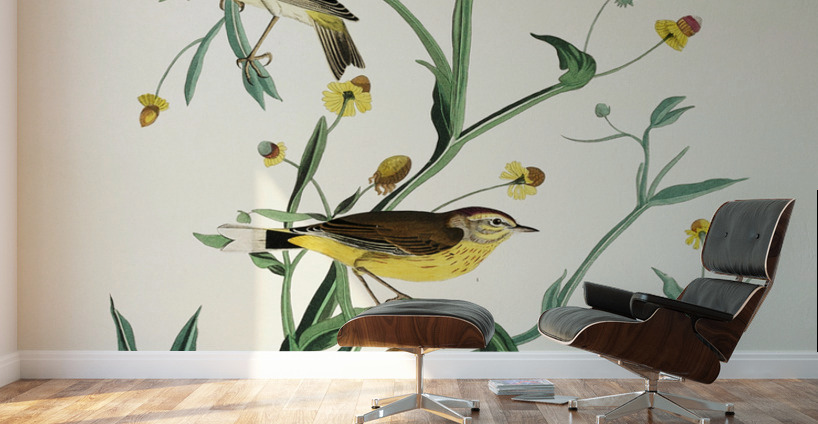 Yellow Red-poll Warbler Wall Murals