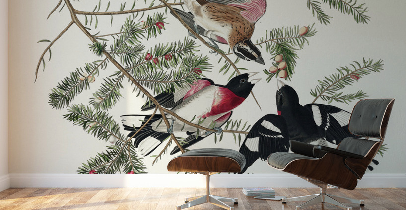 Rose-breasted Grosbeak Wall Murals
