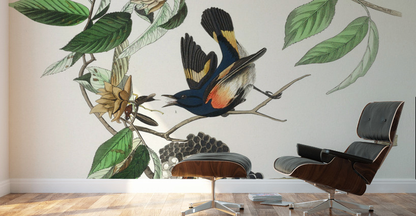 American Redstart Wall Murals