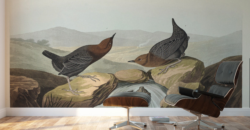 American Redstart Wall Murals