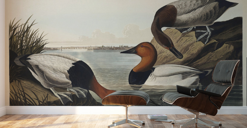 American Redstart Wall Murals