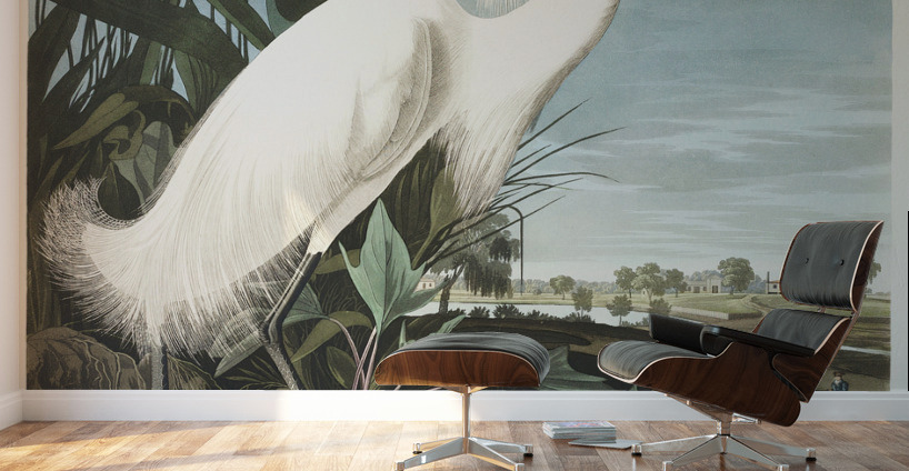 Snowy Heron or White Egret Wall Murals