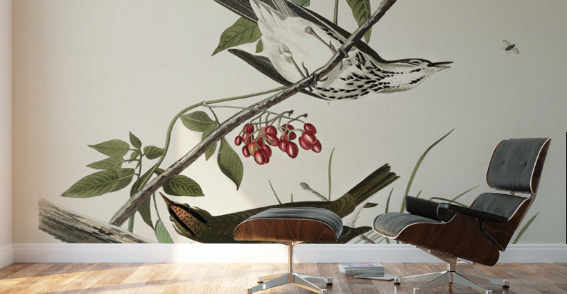 Golden-crowned Thrush Wall Murals