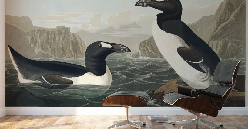 Great Auk Wall Murals
