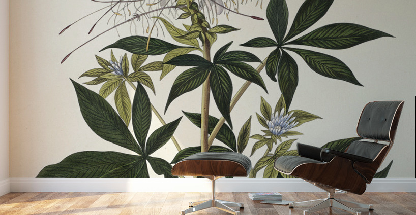 Ruff-necked Humming-bird Wall Murals
