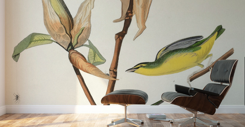 Kentucky Warbler Wall Murals